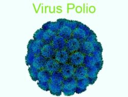 Rawan, 30 Provinsi di Indonesia Masuk Kriteria Resiko Tinggi Polio