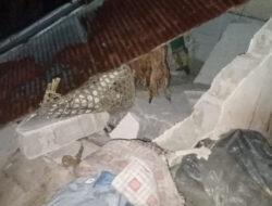 34 Rumah Warga Karangasem Rusak Akibat Gempa