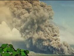 Gunung Semeru Muntahkan Awan Panas Guguran Sejauh Tujuh Kilometer