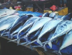 KKP Kawal Mutu dan Kualitas Produk Perikanan IKN