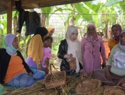 Dekranasda Buton Kunjungi Pengrajin di Wabula dan Wolowa