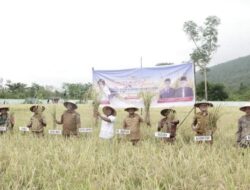 Pemkab Busel Salurkan Bantuan Modal bagi 10 Kelompok Wanita Tani