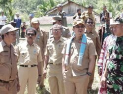 Pemkab Busel bakal Cetak Sawah Baru 600 Hektar